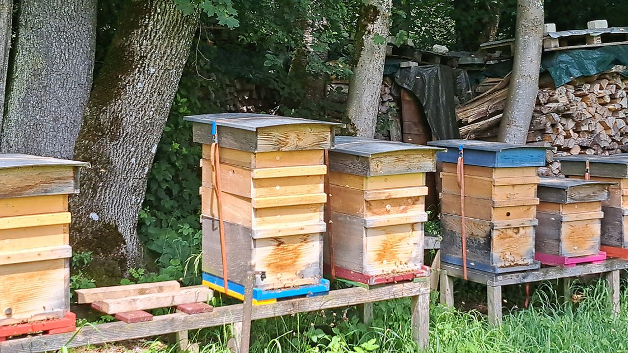 Fleißige Bienchen Fleißige Bienchen